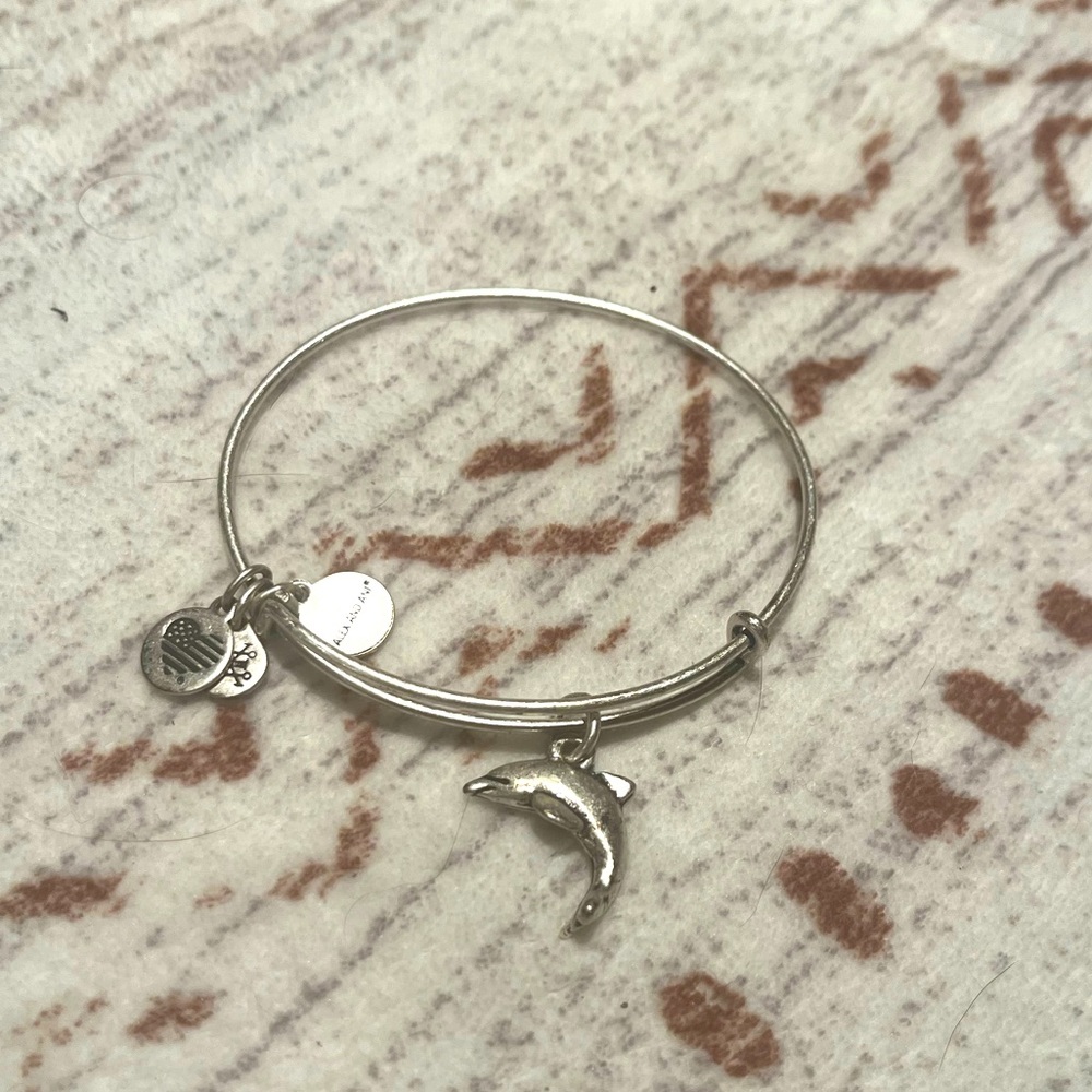 Alex and Ani Dolphin Charm bracelet